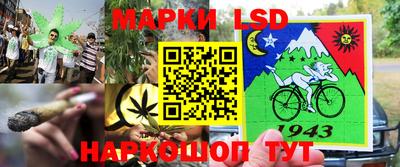 скорость Кимры