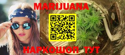 стафф Кингисепп