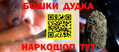 стафф Кингисепп
