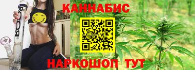 стафф Кингисепп