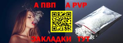 стафф Кингисепп