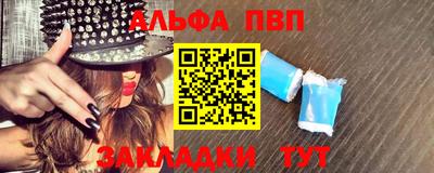 стафф Кингисепп